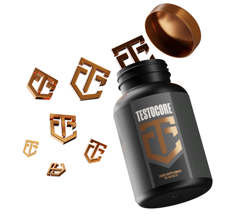 TC Rebuild Refocus Rise